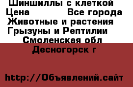 Шиншиллы с клеткой › Цена ­ 8 000 - Все города Животные и растения » Грызуны и Рептилии   . Смоленская обл.,Десногорск г.